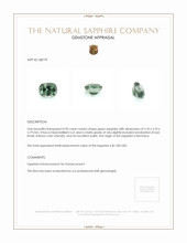 Jewelry Appraisal