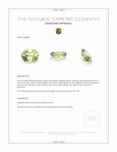Jewelry Appraisal