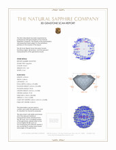 Jewelry 3 D Scan Report