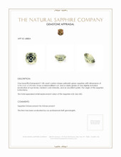 1.08 Ct. Yellowish Green Sapphire from Montana Appraisal