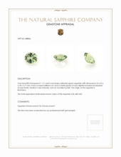 Jewelry Appraisal