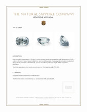 Jewelry Appraisal