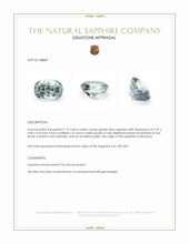 Jewelry Appraisal