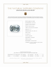 Jewelry Scan Report