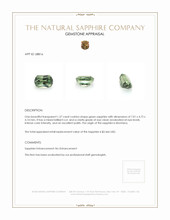 1.37 Ct. Green Sapphire from Montana Appraisal