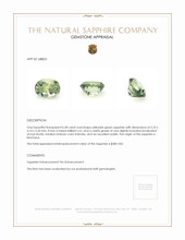 Jewelry Appraisal