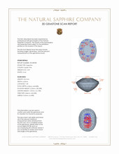 Jewelry 3 D Scan Report
