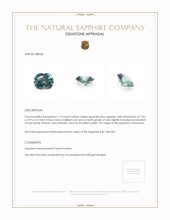 Jewelry Appraisal