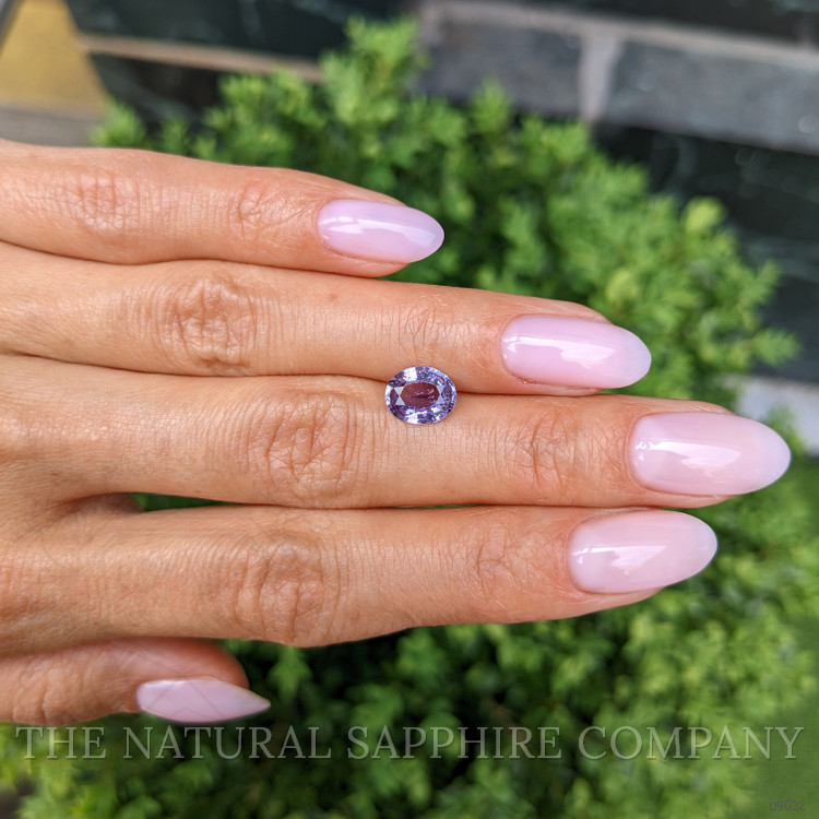 1.67 Ct. Purple Sapphire from Ceylon (Sri Lanka)