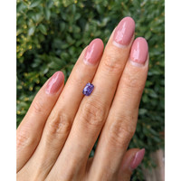 1.60 Ct. Purple Sapphire from Ceylon (Sri Lanka) Life Style