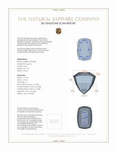 Jewelry 3 D Scan Report
