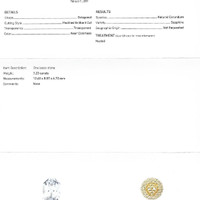 Jewelry Scan Report