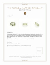 Jewelry Appraisal