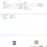 Jewelry Scan Report