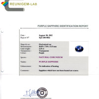 3.33 Ct. Purplish Blue Sapphire from Ceylon (Sri Lanka) Scan Report