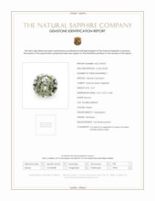 Jewelry Scan Report