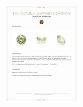 Jewelry Appraisal