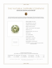 Jewelry Scan Report