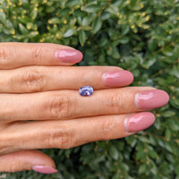 1.25 Ct. Violet Sapphire from Ceylon (Sri Lanka) Life Style