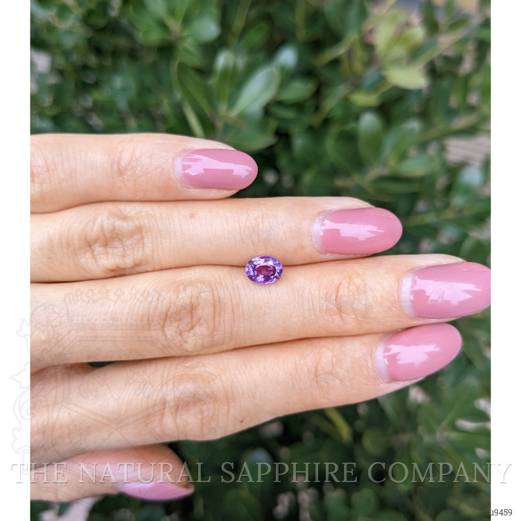 1.04 Ct. Purple Sapphire from Ceylon (Sri Lanka)