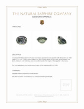 Jewelry Appraisal