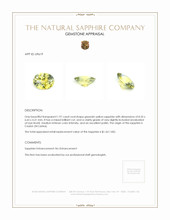 Jewelry Appraisal