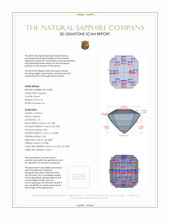 Jewelry 3 D Scan Report