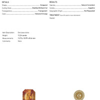 Jewelry Scan Report