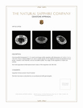 Jewelry Appraisal