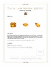 Jewelry Appraisal