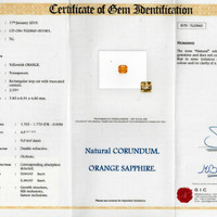 Jewelry Scan Report