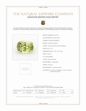 Jewelry Scan Report