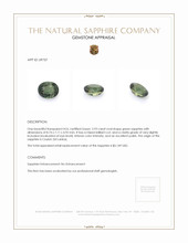 2.93 Ct. Green Sapphire from Ceylon (Sri Lanka) Appraisal