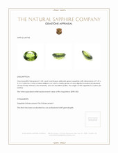 Jewelry Appraisal