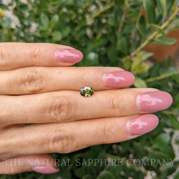 1.00 Ct. Yellowish Green Sapphire from Ceylon (Sri Lanka)