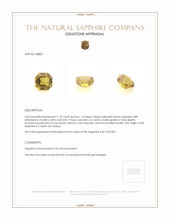 1.79 Ct. Yellowish Brown Sapphire from Ceylon (Sri Lanka) Appraisal