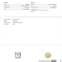 Jewelry Scan Report