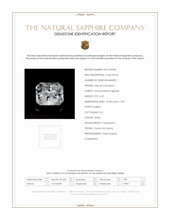 Jewelry Scan Report