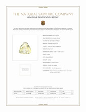 Jewelry Scan Report