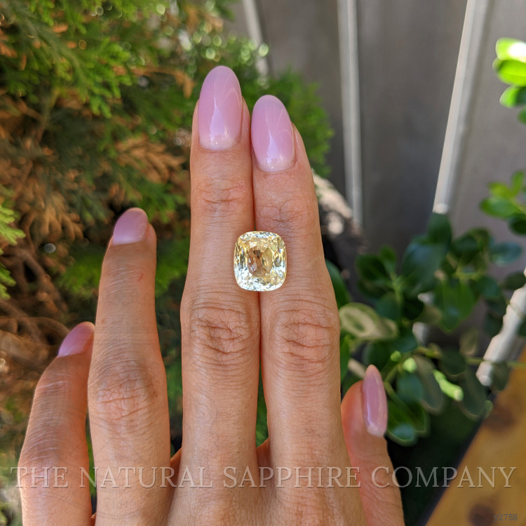 11.50 Ct. Yellow Sapphire from Ceylon (Sri Lanka)