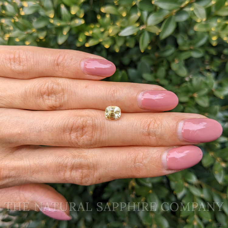 1.48 Ct. Yellow Sapphire from Ceylon (Sri Lanka)