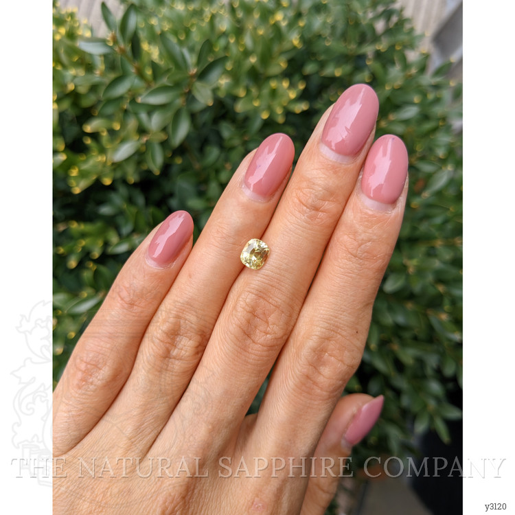 1.48 Ct. Yellow Sapphire from Ceylon (Sri Lanka)