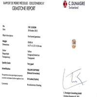 15.02 Ct. Yellow Sapphire from Ceylon (Sri Lanka) Scan Report