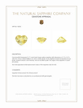 Jewelry Appraisal