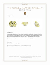 Jewelry Appraisal