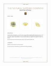 Jewelry Appraisal