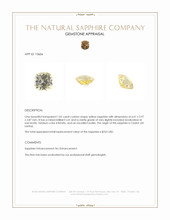 Jewelry Appraisal