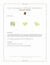 Jewelry Appraisal