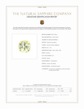 Jewelry Scan Report
