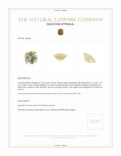 Jewelry Appraisal